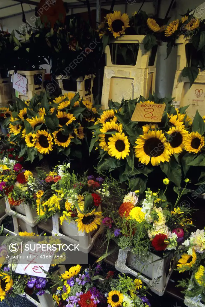 Austria, Salzburg, Marketplace, Flowerstand With Sunflowers