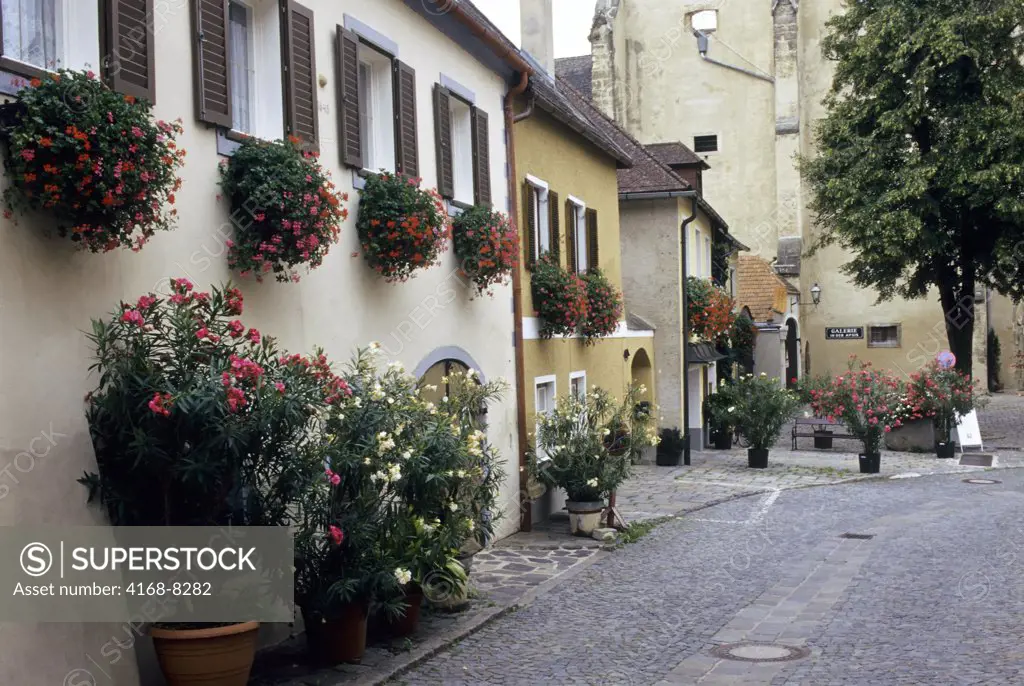 Austria, Wachau Valley, Durnstein, Oleanders and geraniums growing on old town street