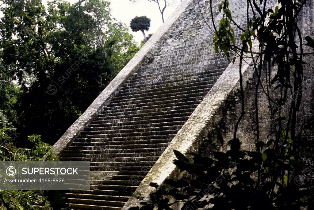 Guatemala, Tikal, View Of Temple V, Steps