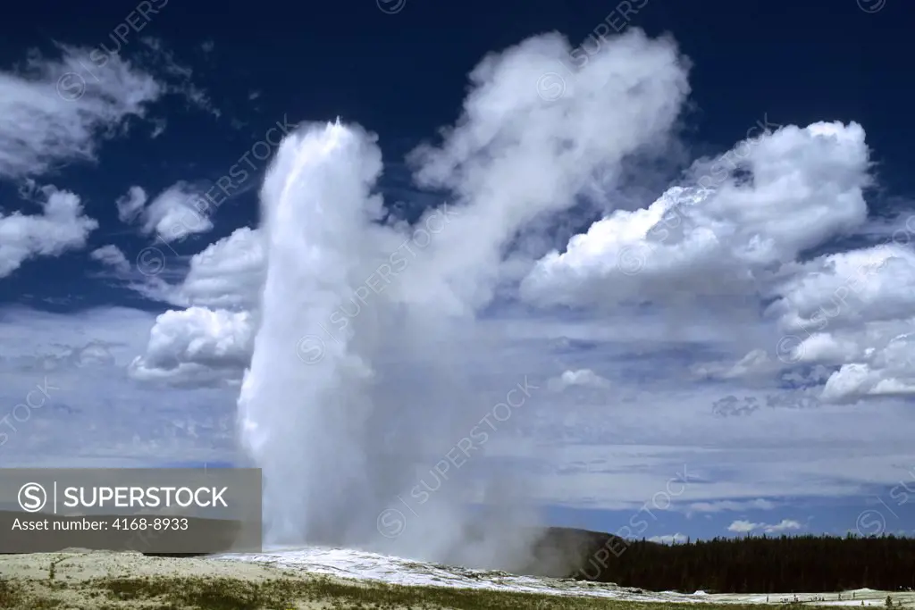 Usa, Wyoming, Yellowstone National Park, Upper Geyser Basin, Old Faithful Erupting