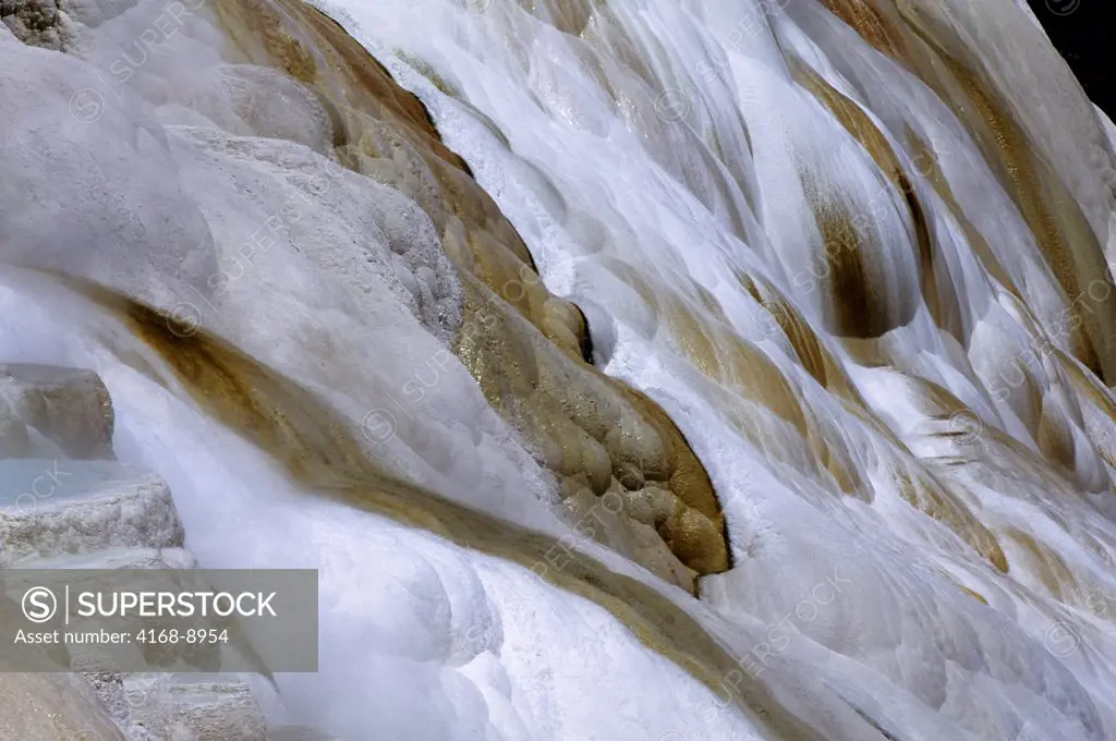 Usa, Wyoming, Yellowstone National Park, Mammoth Hot Springs, Canary Spring Terrace