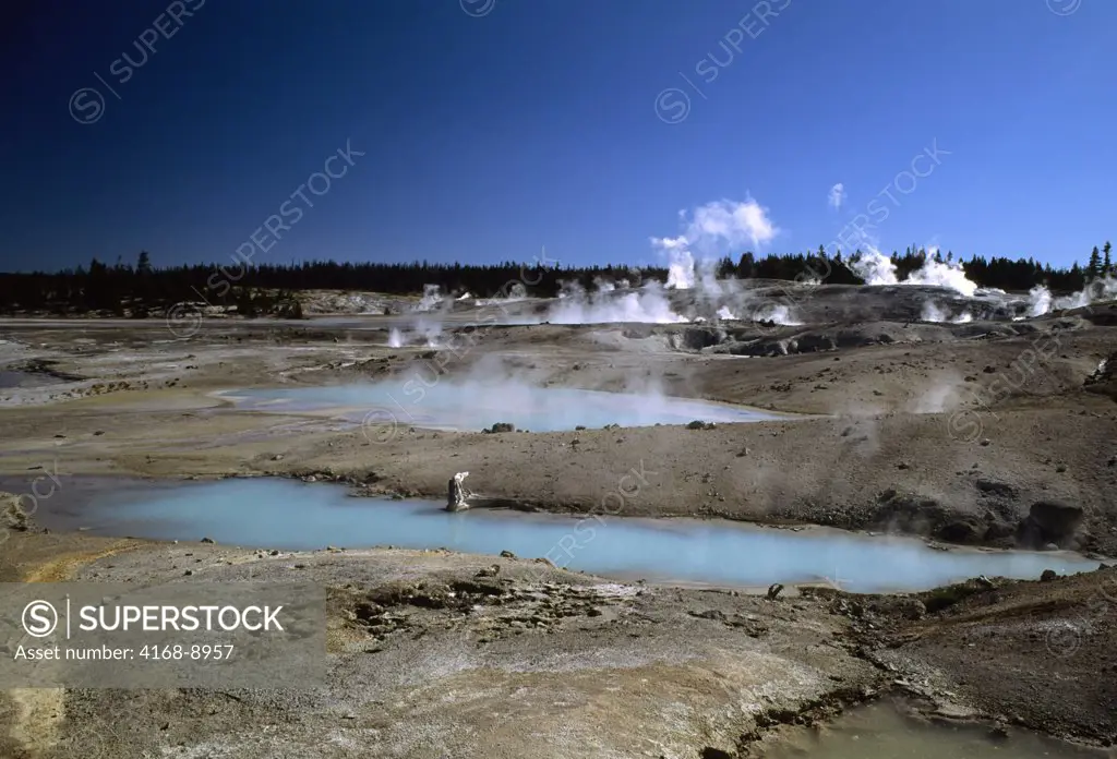 Usa, Wyoming, Yellowstone National Park, Norris Geyser Basin, Overview Of Porcelain Terrace