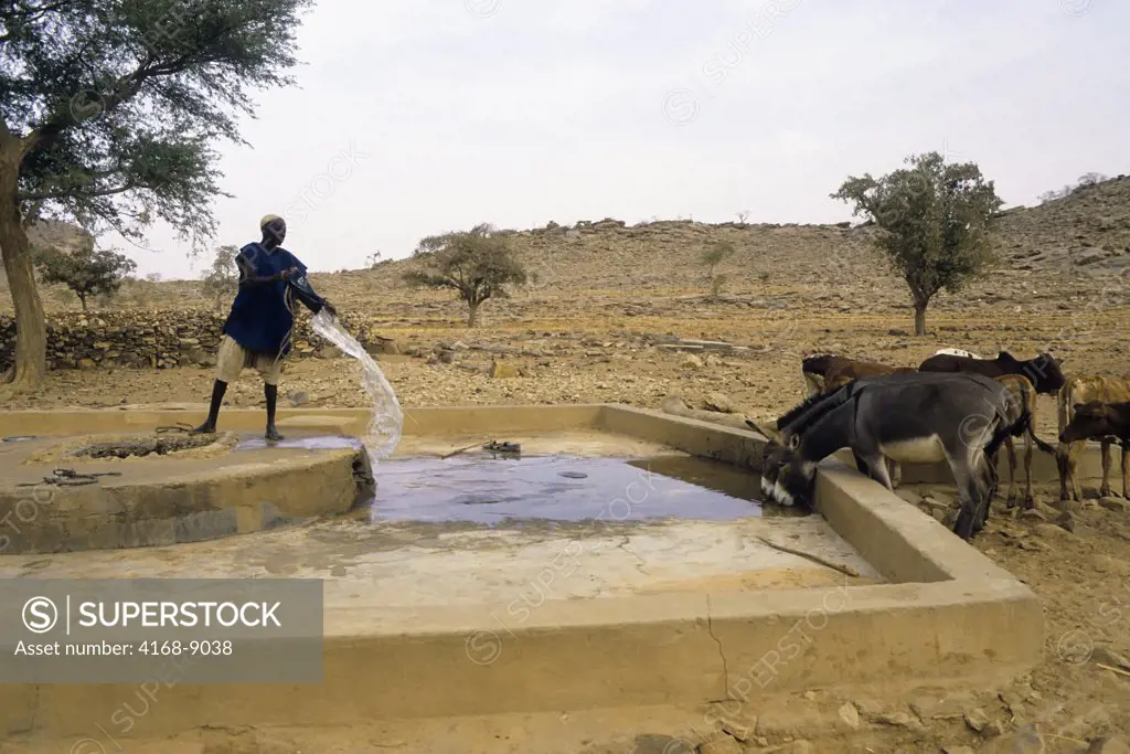 Mali, Songho Village, Man Getting Water Out Of Well To Water His Animals