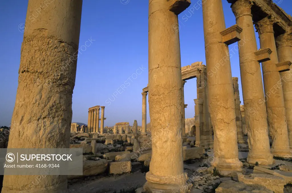 Syria, Palmyra, Ancient Roman City, The Great Colonnade, Main Artery Of Town
