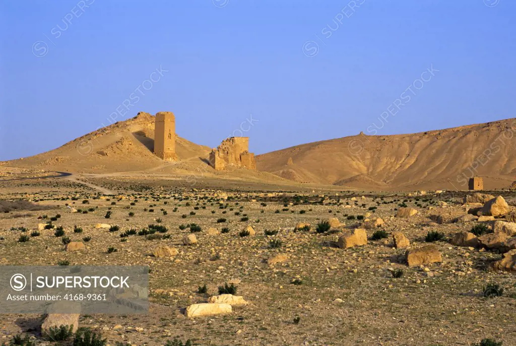 Syria, Palmyra, Ancient Roman City, View Of Tombs