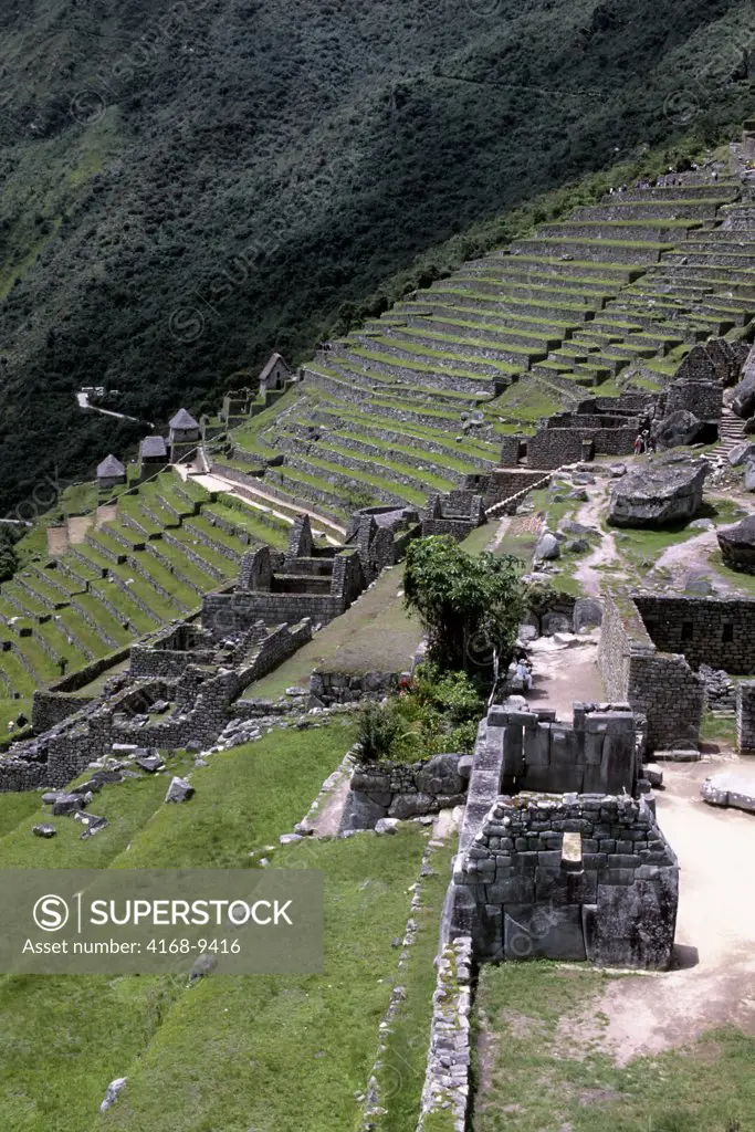 Peru, Sacred Valley, Machu Picchu, Intellectual District, View Of Terraced Fields