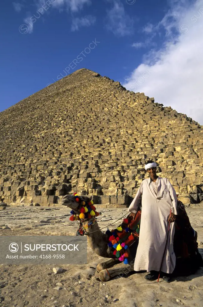Egypt, Cairo, Giza, Cheops Pyramid With Local Man And Camel