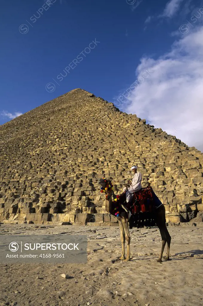 Egypt, Cairo, Giza, Cheops Pyramid With Local Man On Camel In Foreground
