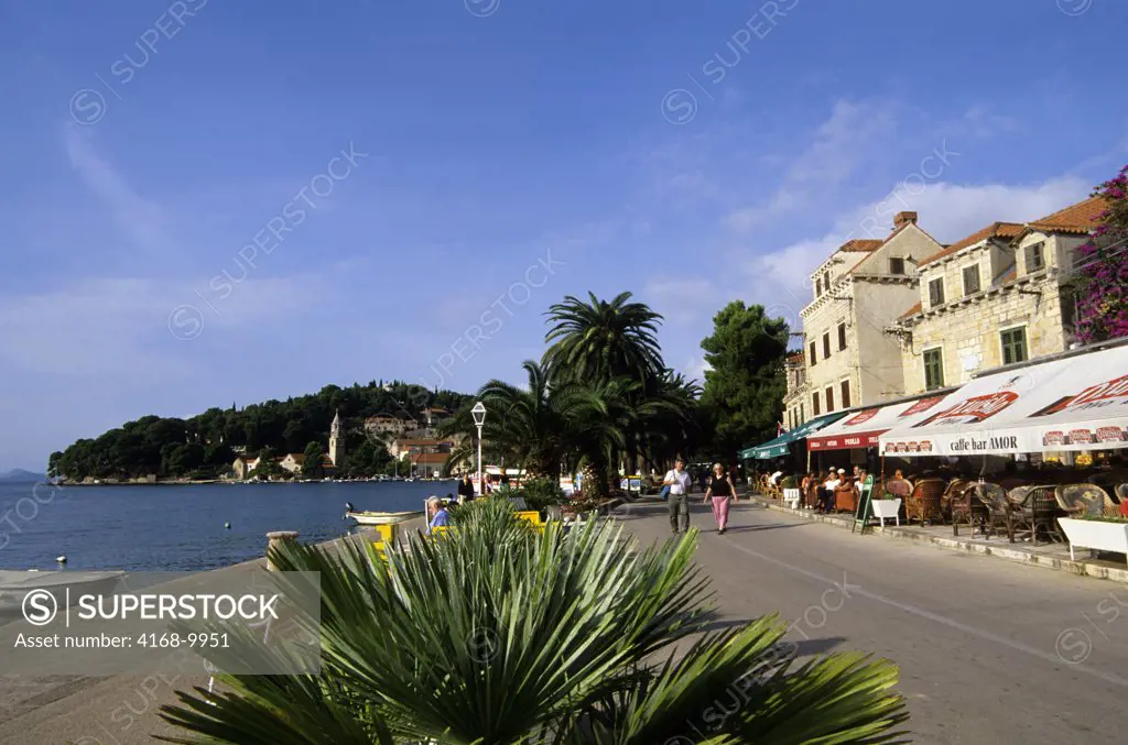 Croatia, Near Dubrovnik, Cavtat, Waterfront, Cafes And Restaurants, Palm Tree