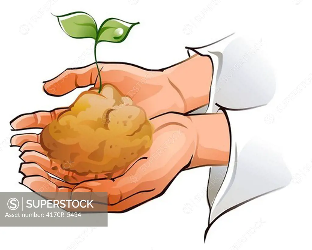 Close-up of a person´s hands holding seedling