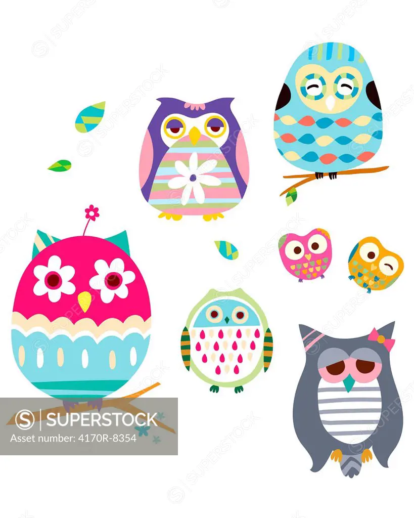 various owls