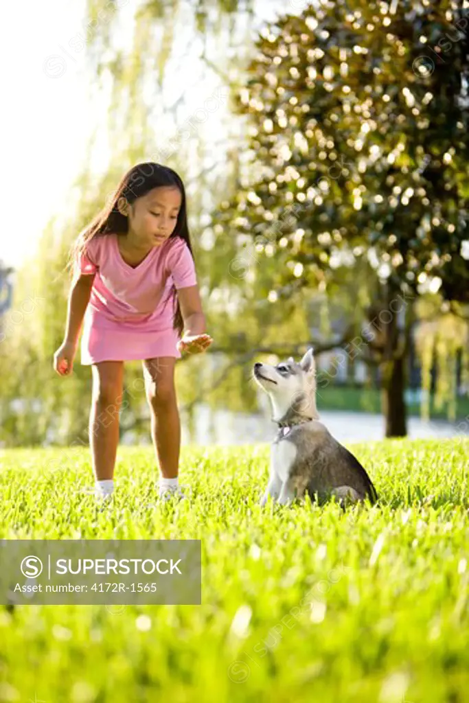 Young Asian girl training puppy to sit