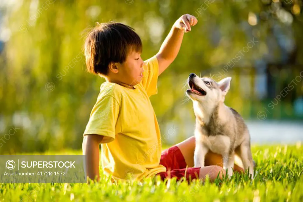 Young Asian boy playing with puppy on grass