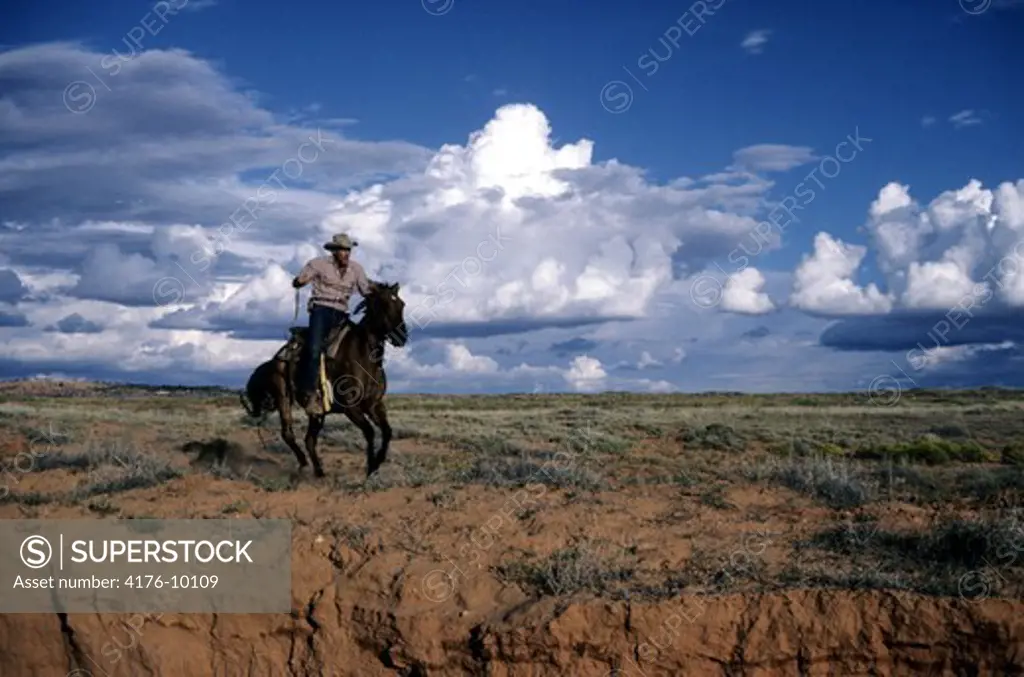 Horse rider in field against cumulus clouds
