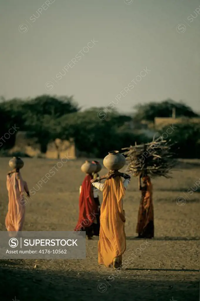 Rear view of women carrying clay pots in Rajasthan, India