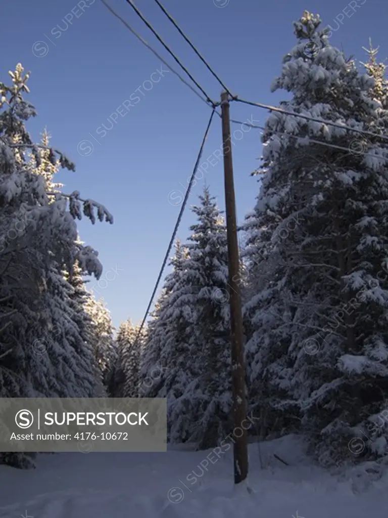 Power lines going through a forest. Sweden