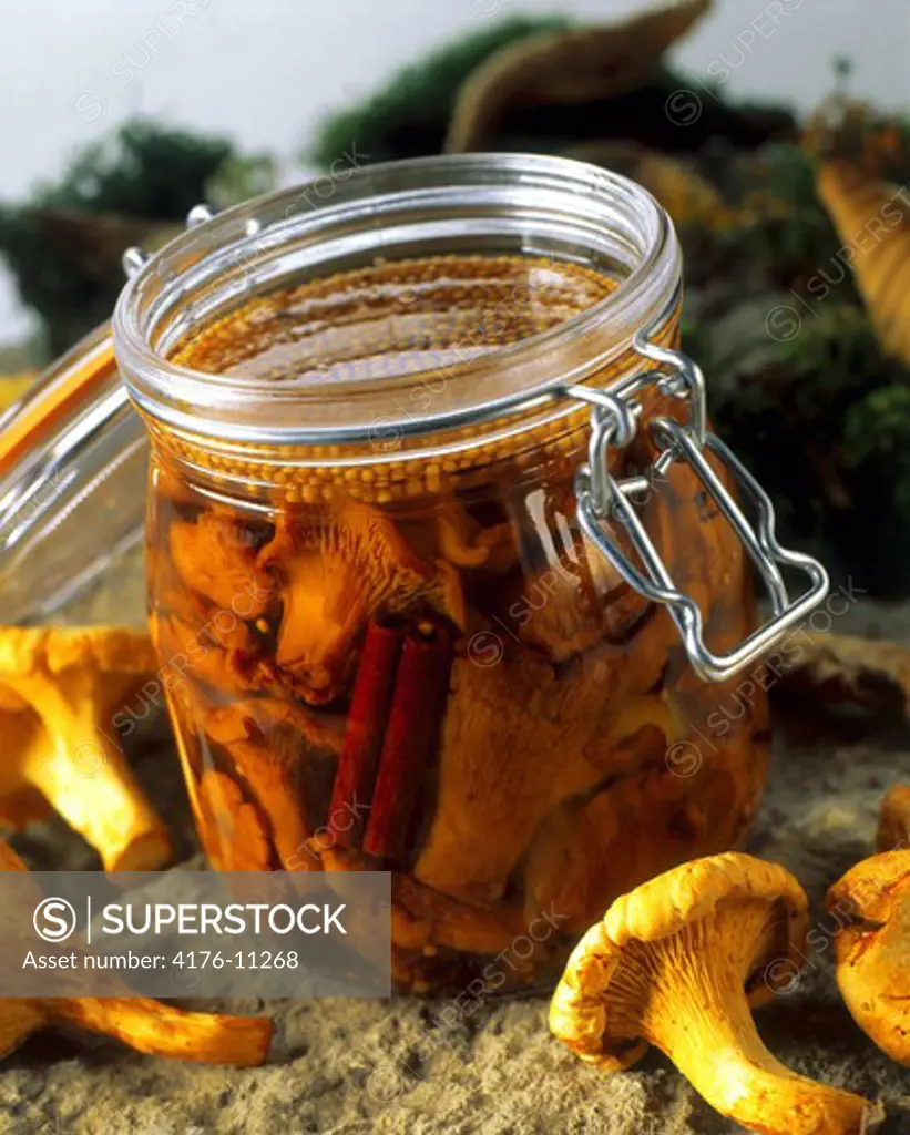 Pickled Mushrooms with Peppers in a glass jar