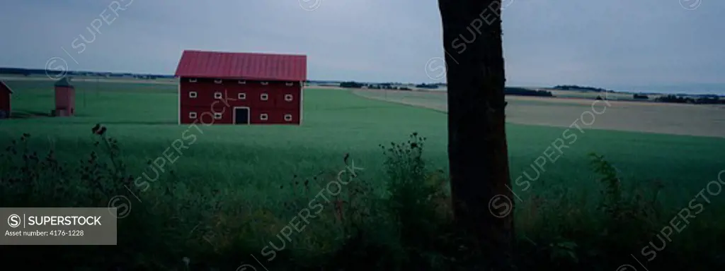 Farmhouse in a field