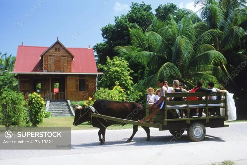 Ox and cart carrying tourist to and from hotels on La Digue Island in Seychelles
