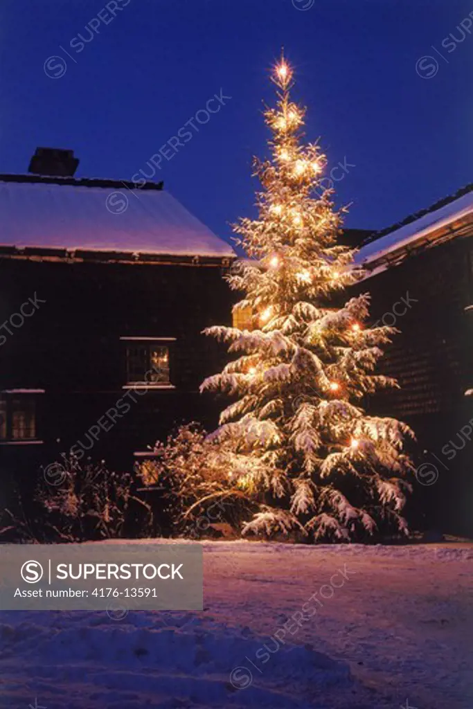 Outdoor Christmas tree laden with fresh fallen snow glowing at night