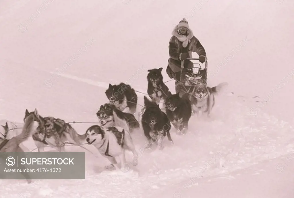 Norway, Svalbard - Dogs pulling a sled with a man on it
