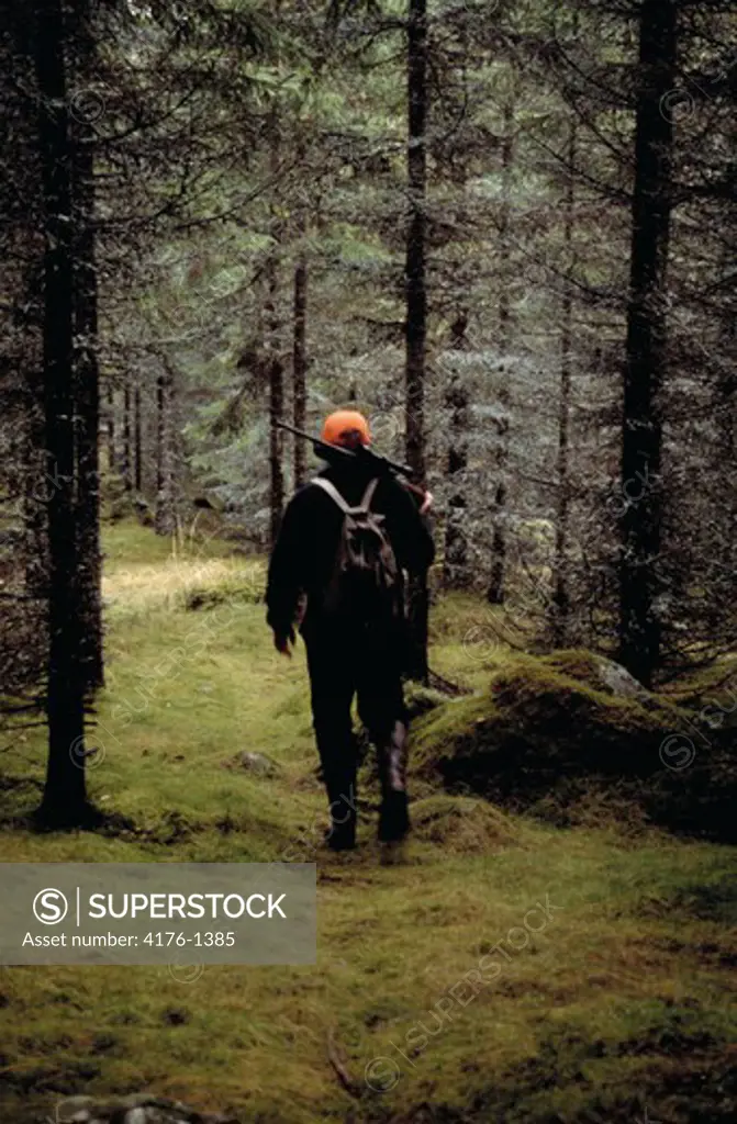 The back of a hunter walking in a forest