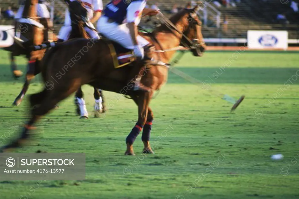 Polo players in action at Campo de Polo in Buenos Aires, Argentina