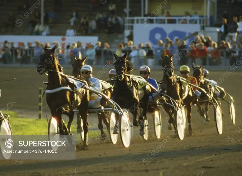 Trotters racing at Solvalla track near Stockholm, Sweden in sunset light