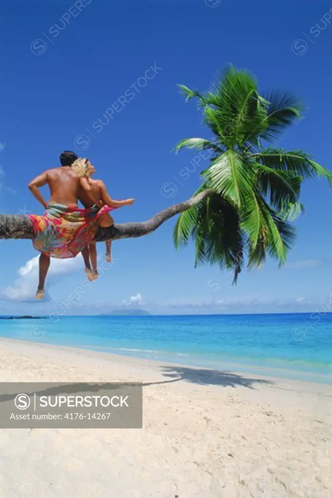 Colorful cloth wrapped around couple on palm tree on Mahe Island in Seychelles