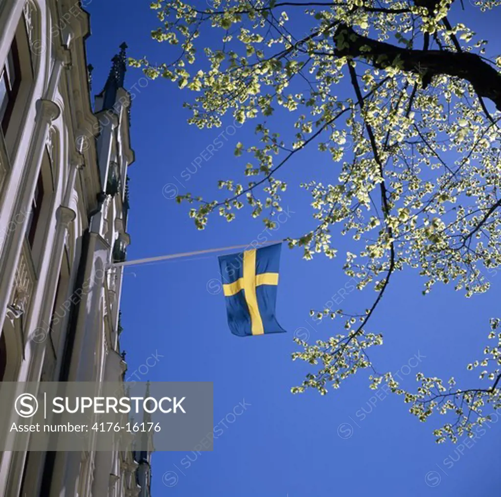 Swedish flag waving besides a tree against blue sky