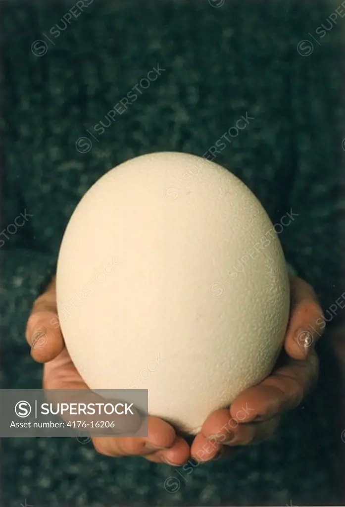 Close up of a white egg resting on the hands