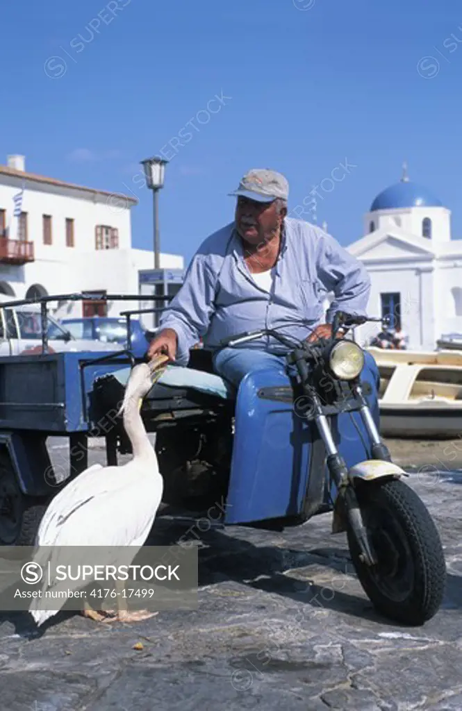 GREECE CYCLADES ISLANDS MYKONOS ISLAND PETROS MASCOT OF MYKONOS