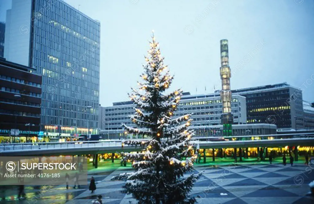 A christmas tree on a square in Stockholm