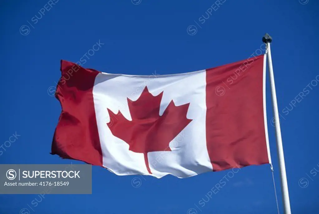 Canadian national flag featuring the maple leaf