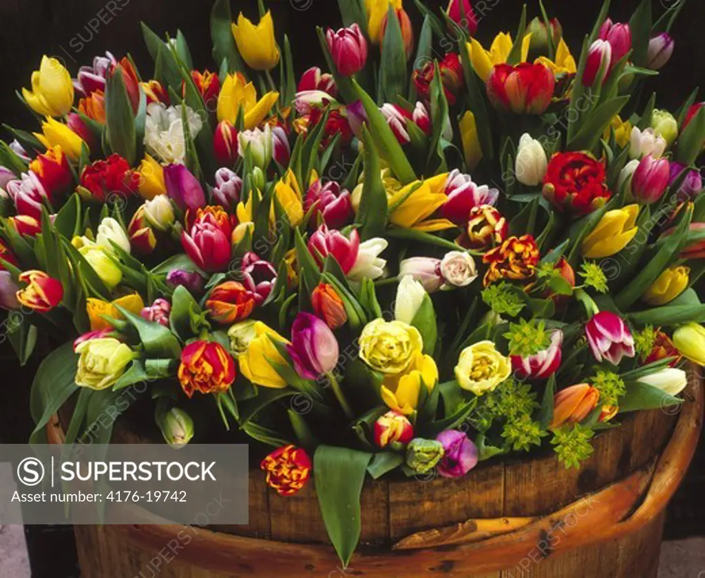 Close up of colourful flowers in a wooden bucket