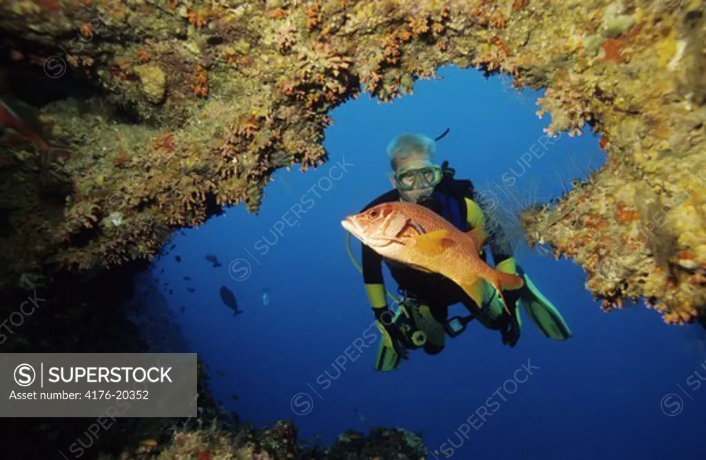 Diver behind a fish underwater