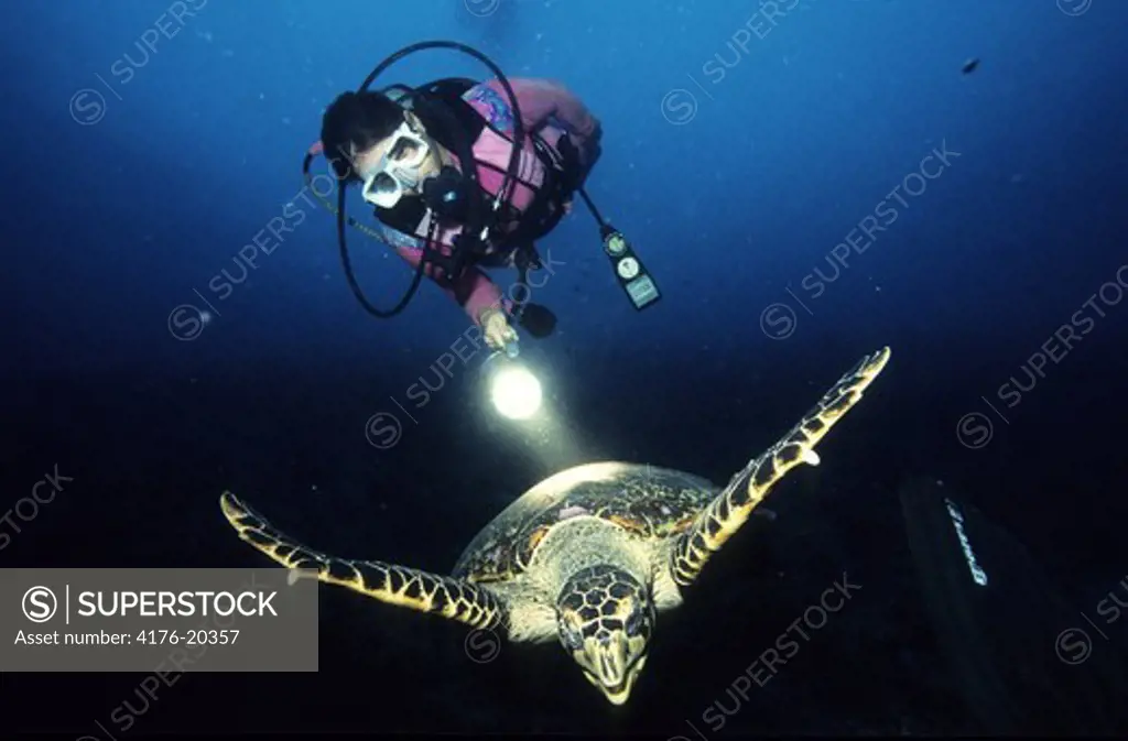 Scuba diver holding flashlight in the sea