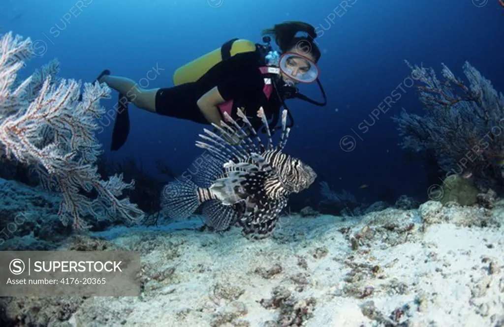 Side view of a female diver and fish in the bottom of sea