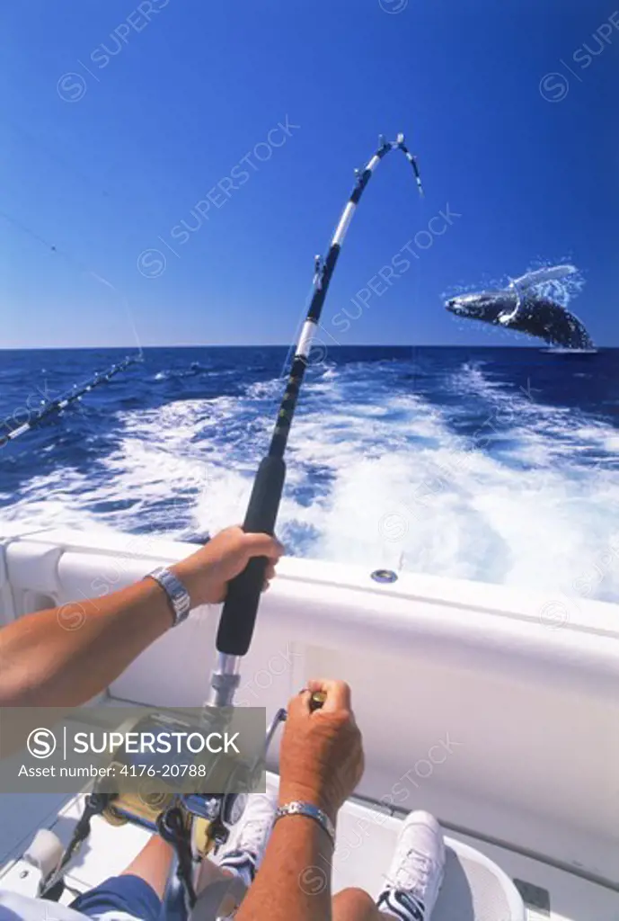 Person holding fishing rod for catching fish