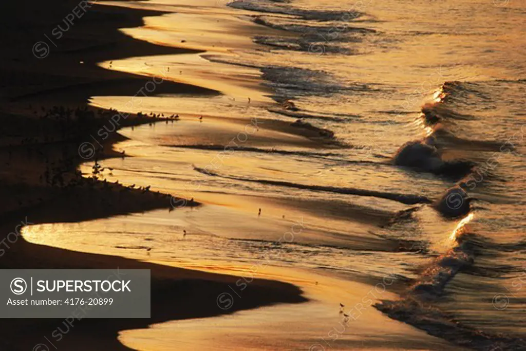 Wave patterns reflecting sunrise light across sandy shore in Laguna Beach, California