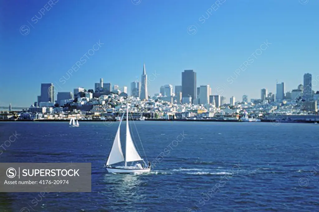 Aerial view of  sailboats in San Francisco Bay with Transamerica Pyramid in city skyline beyond