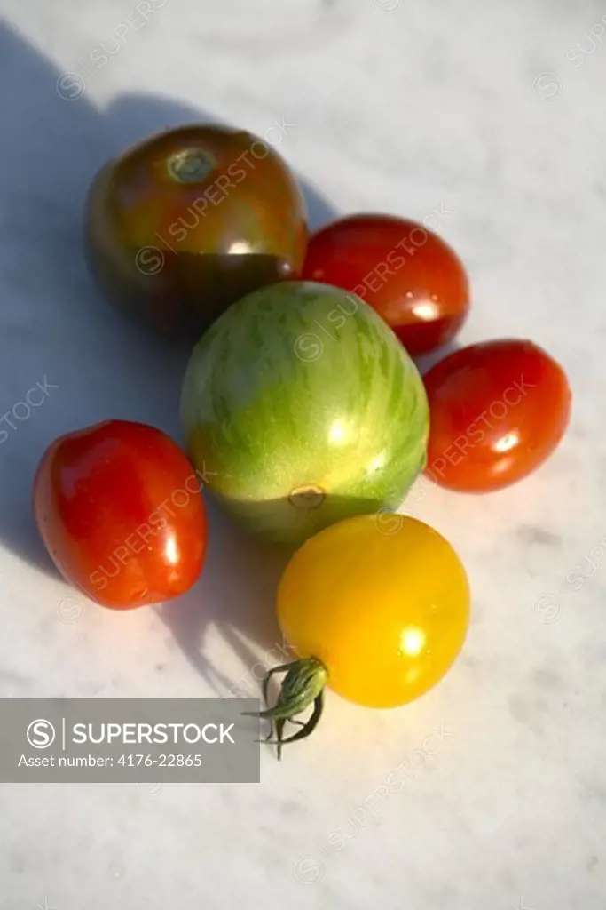 Close up view of fresh tomatoes on white background