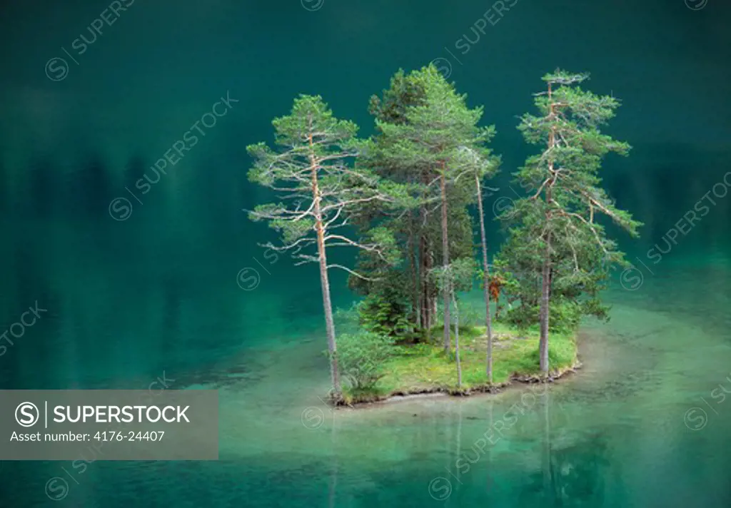 Trees in the Fernstein lake, Tyrol, Austria
