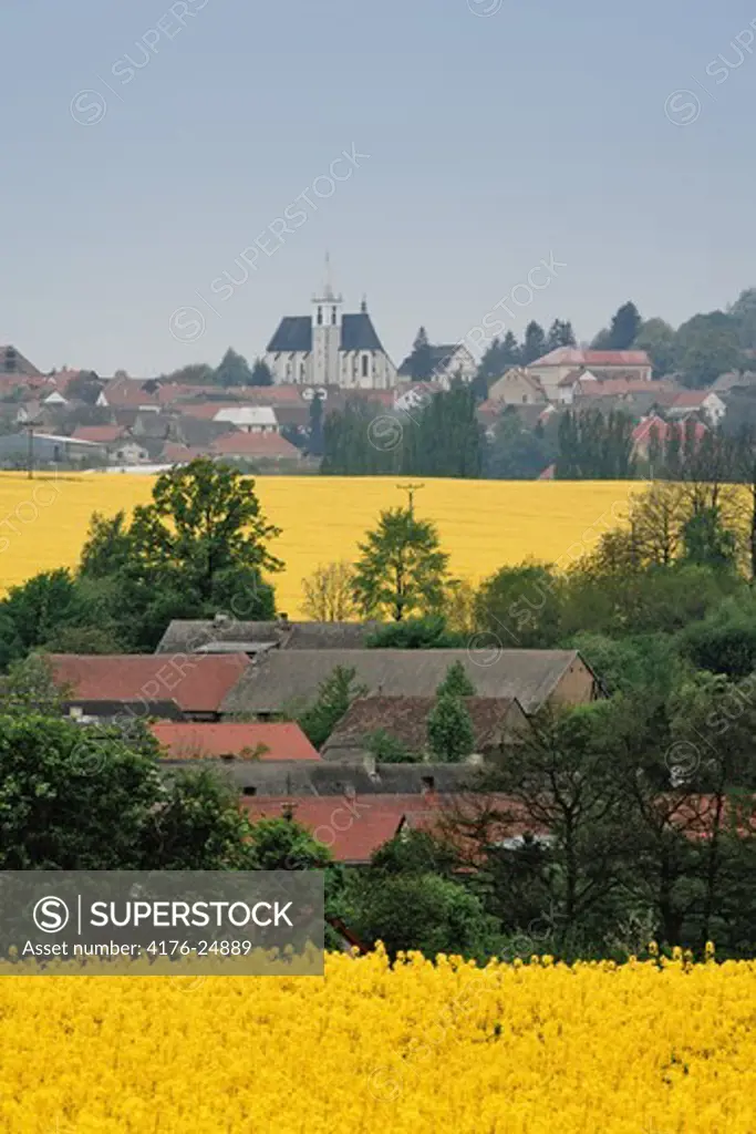 Oilseed rape field with a village in the background, Bohemia, Czech Republic