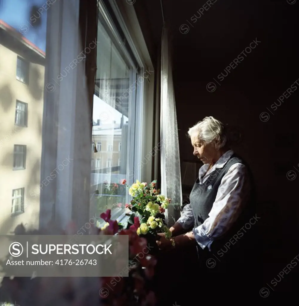 Side profile of a older woman arranging flowers near a window