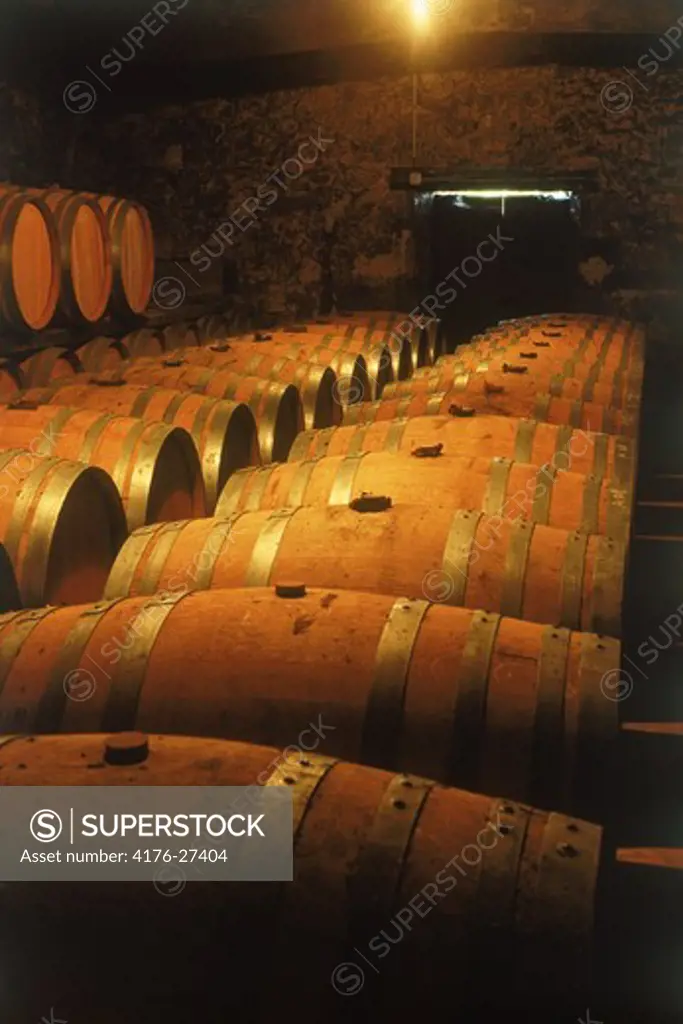Barrels of French armagnac at small cellar in Gascogne district