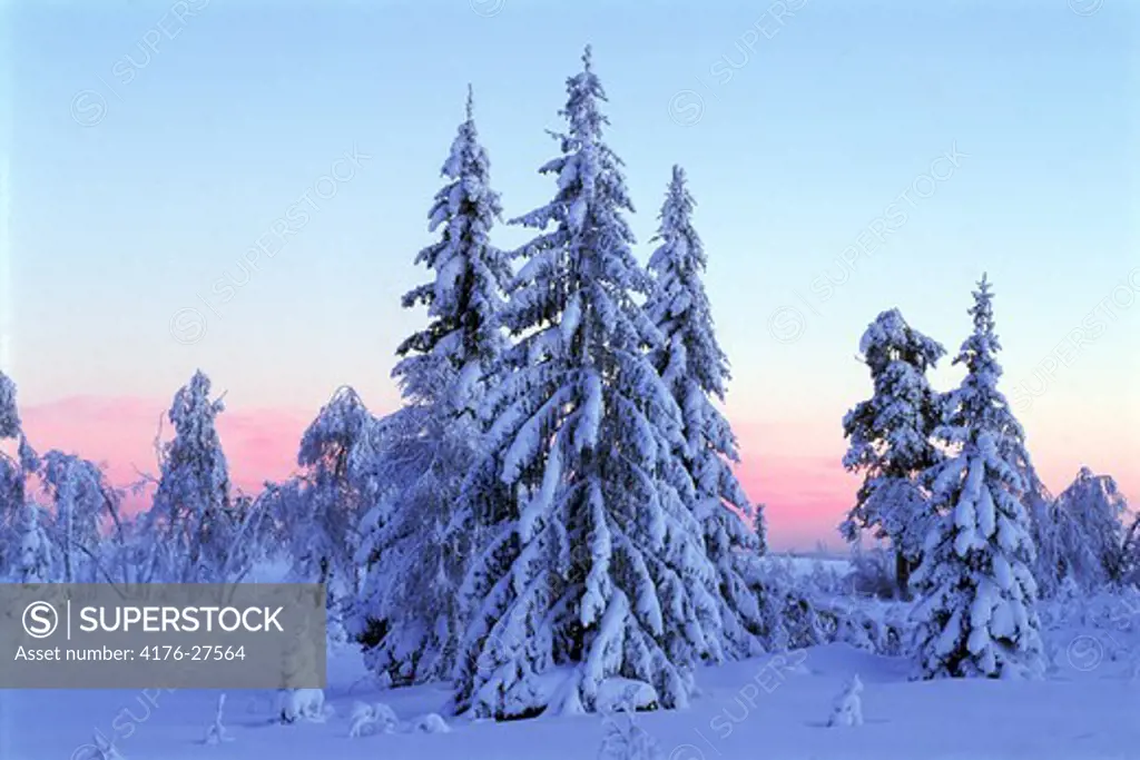 Frozen winter landscapes of Dalarna and Varmland in Sweden
