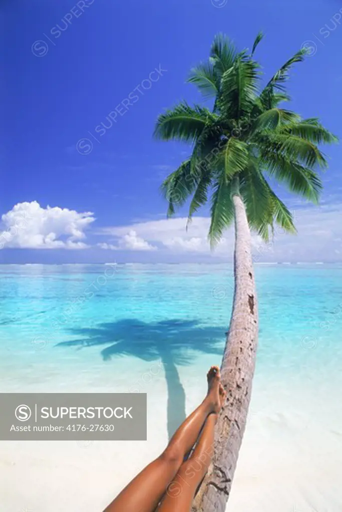 Tan legs relaxing on palm tree over white sandy beach and pure clean aqua waters
