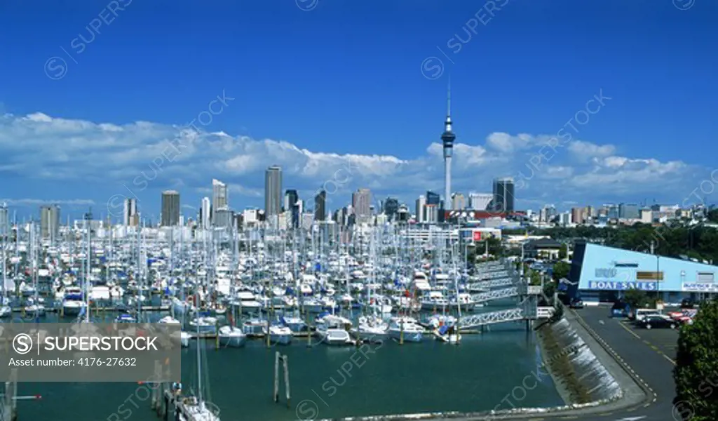 Yachts at Waitemata Harbour (Westhaven Harbour) with Skytower and Auckland skyline
