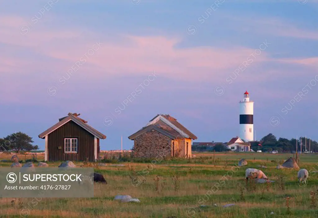 Houses in a field with Lange Jan lighthouse in the background, Sodra Udde, Oland, Sweden